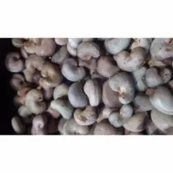 Organic Raw Cashew Nuts